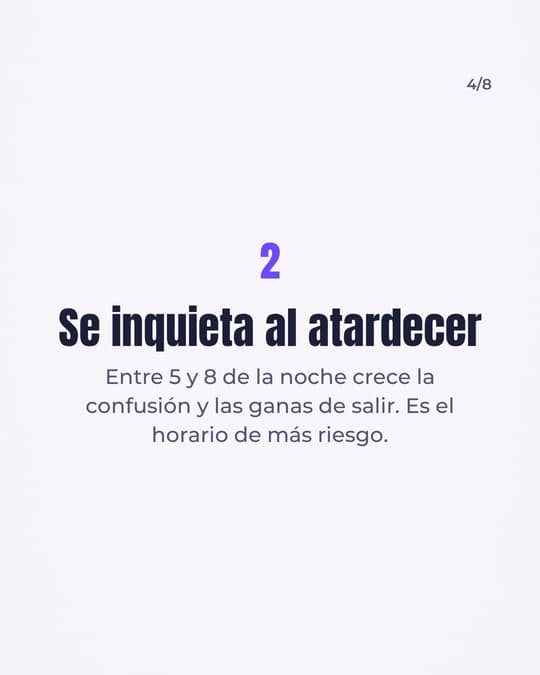 Lámina 4