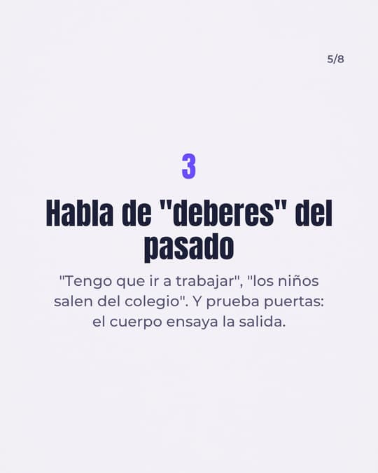 Lámina 5