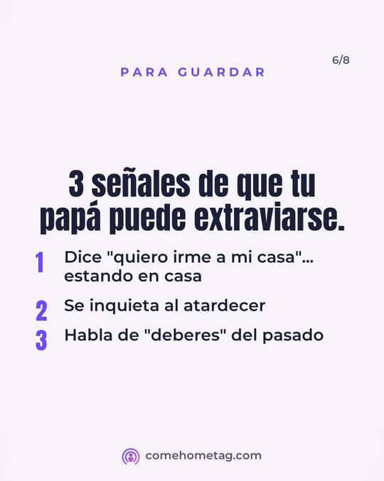 Lámina 6