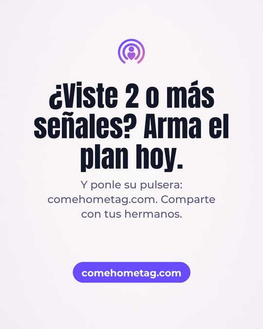 Lámina 8