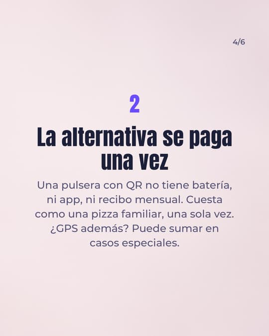 Lámina 4