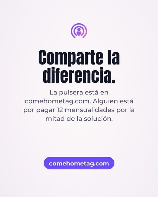Lámina 6