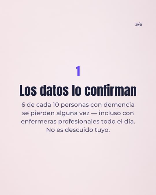 Lámina 3