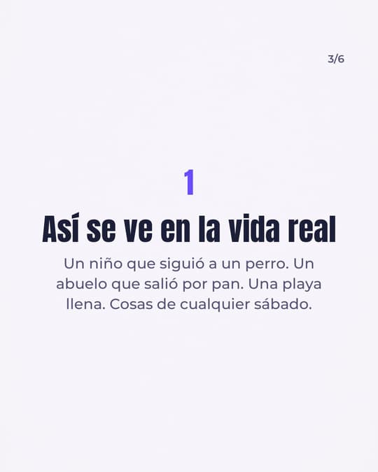 Lámina 3