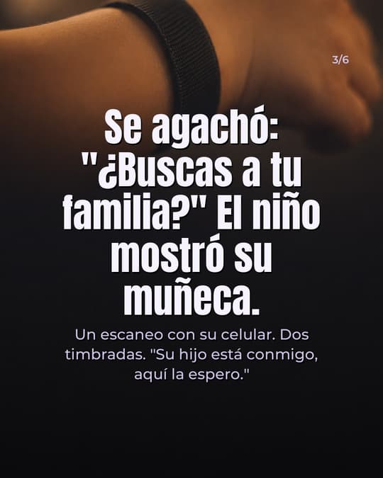 Lámina 3