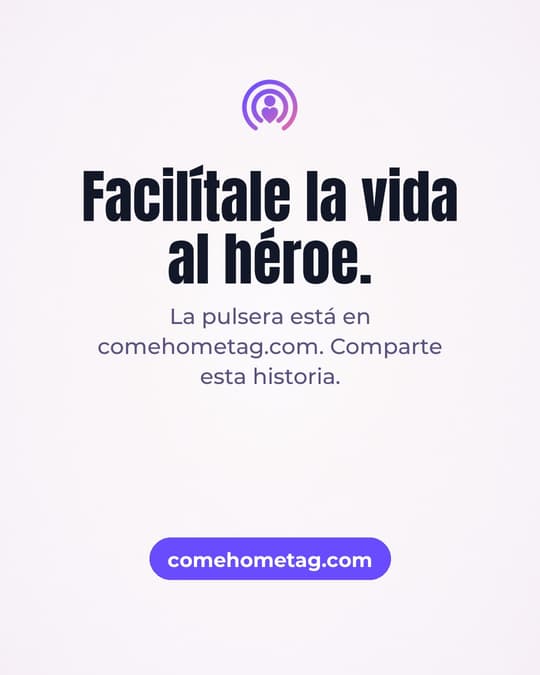 Lámina 6