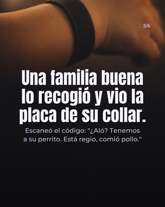 Lámina 3