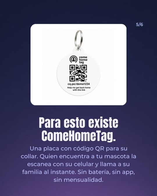 Lámina 5