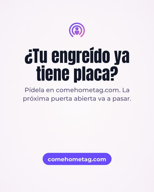 Lámina 6