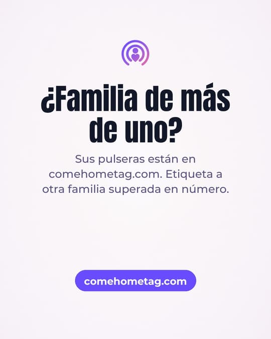 Lámina 6