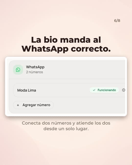 Lámina 6