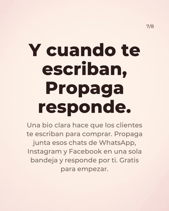 Lámina 7