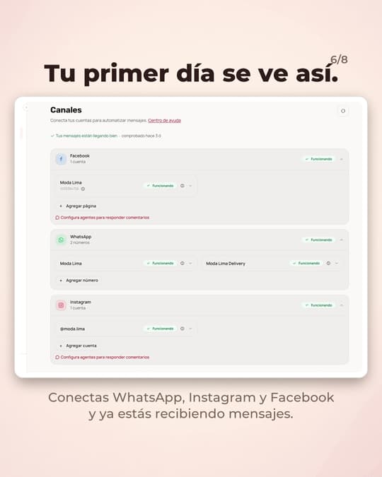 Lámina 6