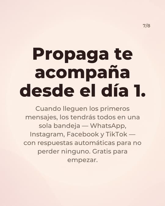 Lámina 7