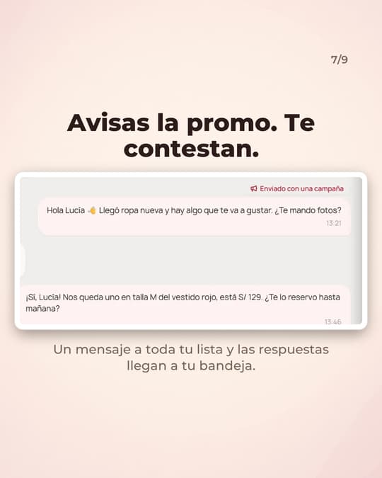 Lámina 7