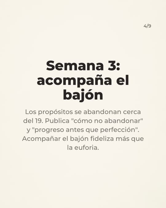 Lámina 4