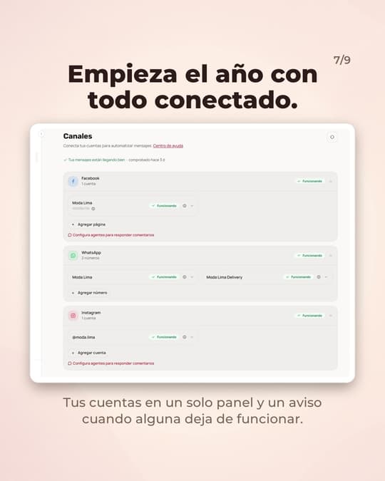 Lámina 7