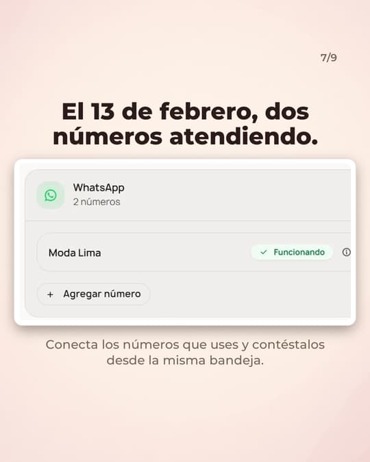 Lámina 7
