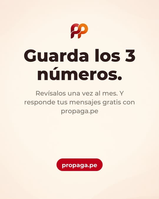 Lámina 8