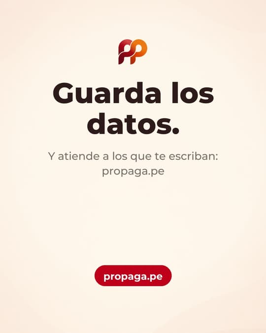Lámina 8