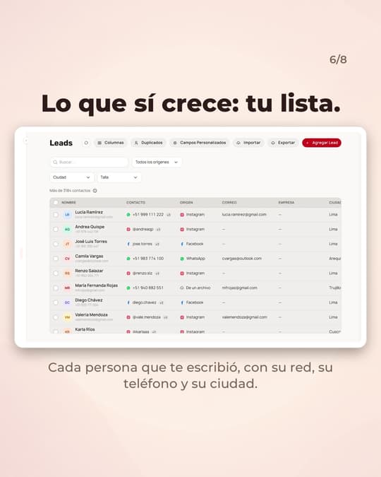 Lámina 6