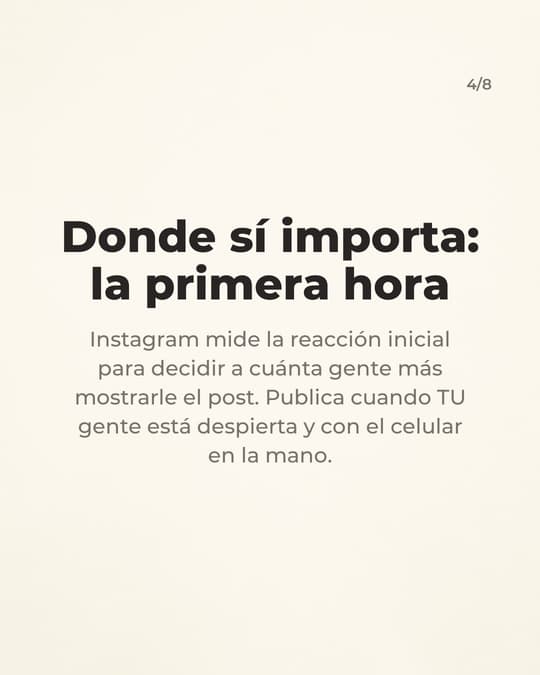 Lámina 4