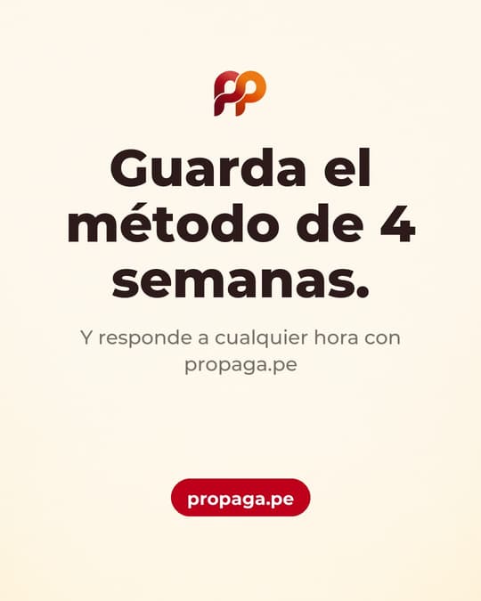 Lámina 8