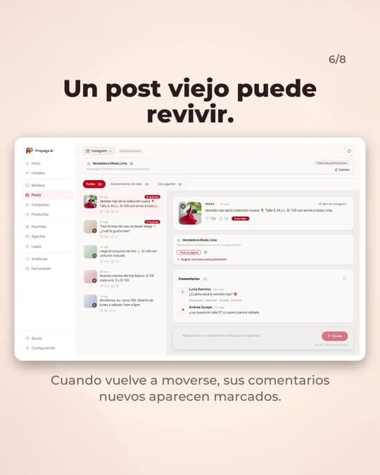 Lámina 6