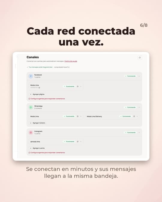 Lámina 6