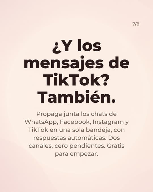 Lámina 7