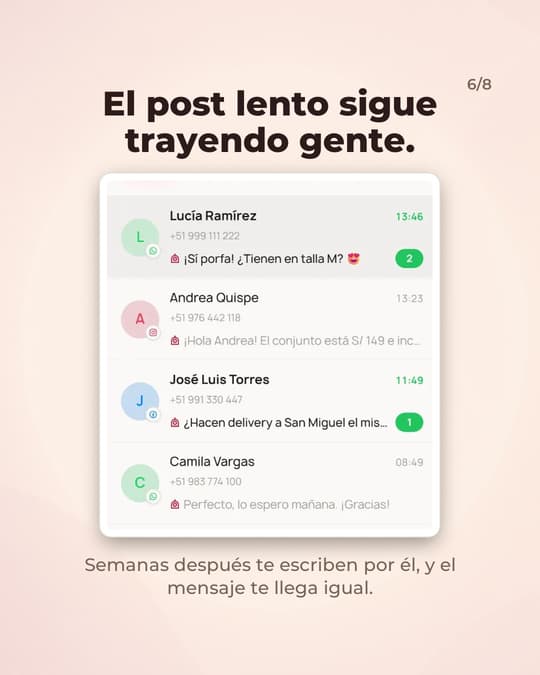 Lámina 6
