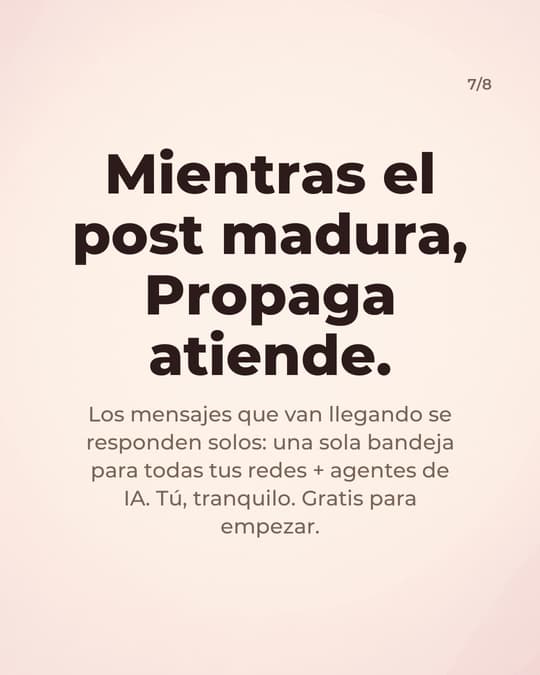 Lámina 7
