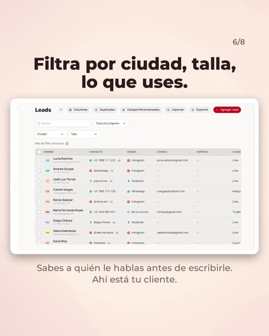Lámina 6