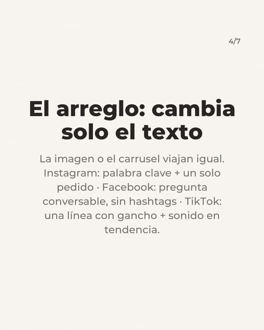 Lámina 4