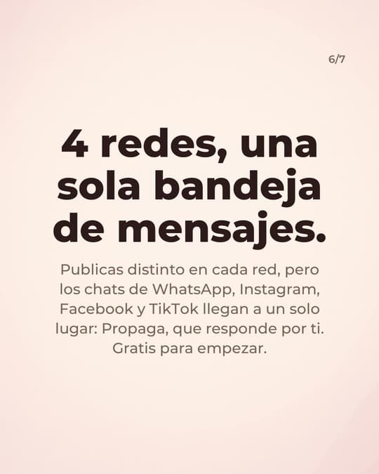 Lámina 6