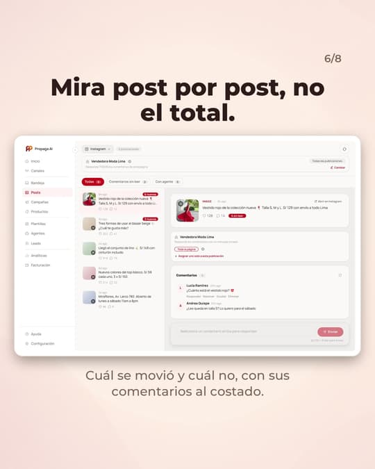 Lámina 6