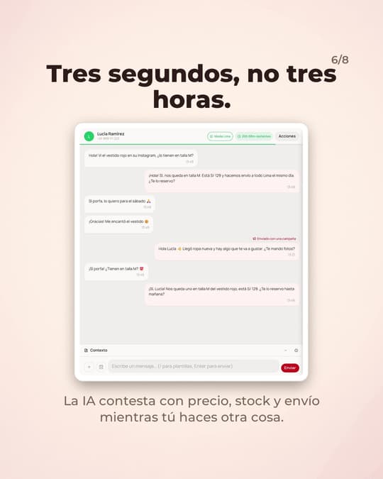 Lámina 6