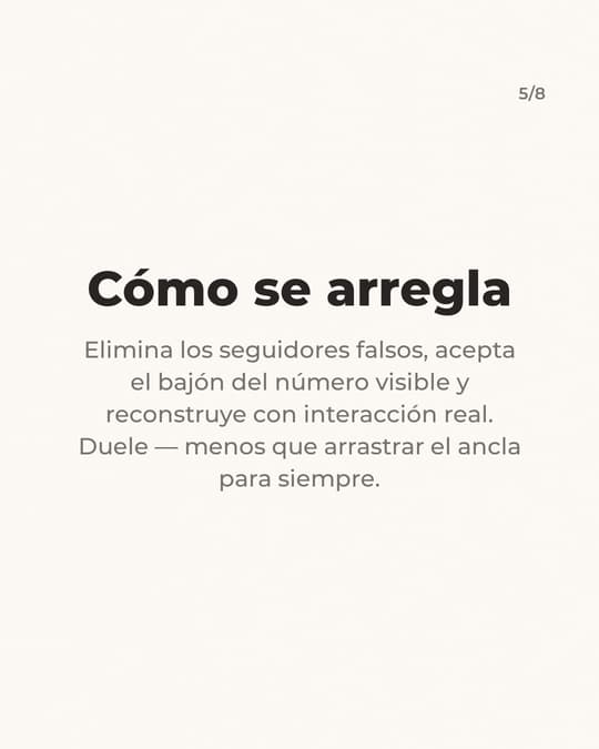 Lámina 5