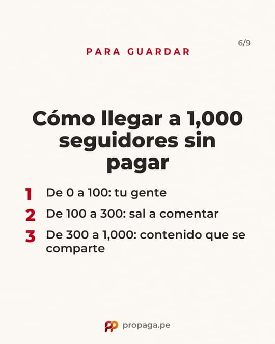 Lámina 6