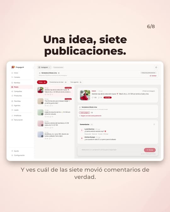 Lámina 6