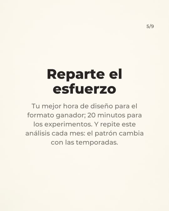 Lámina 5