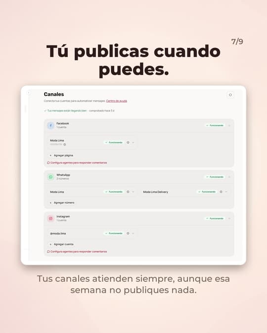 Lámina 7