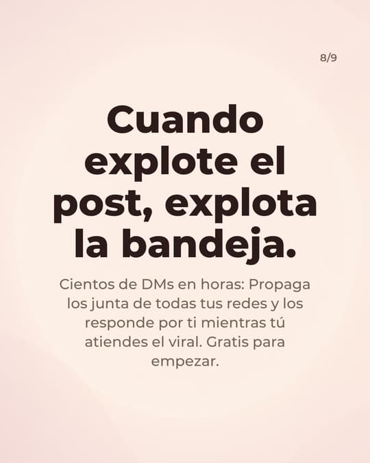 Lámina 8