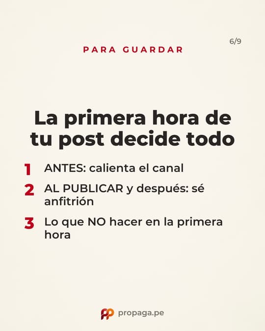 Lámina 6