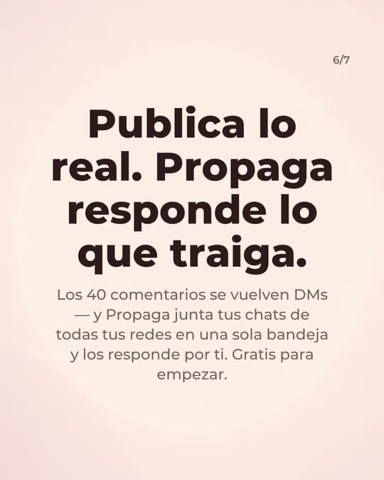 Lámina 6