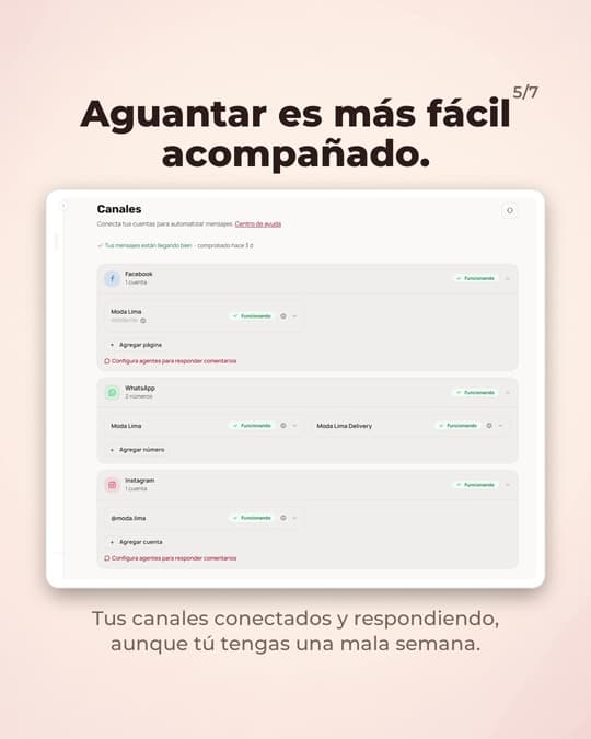 Lámina 5