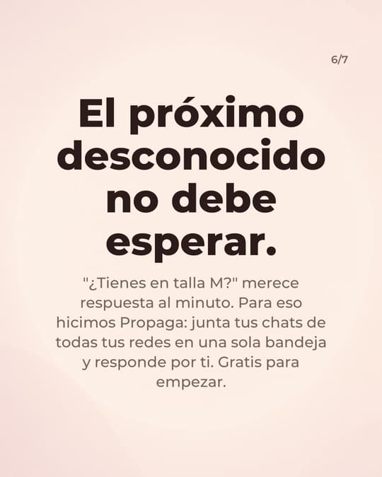 Lámina 6