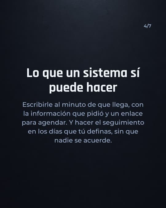 Lámina 4