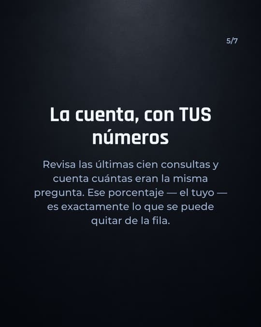 Lámina 5