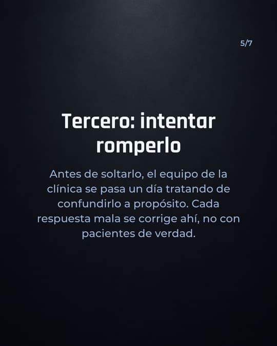 Lámina 5